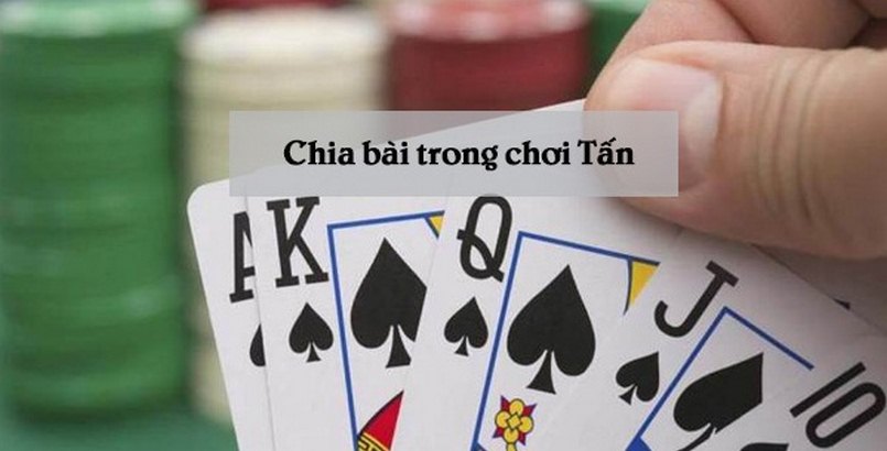 Cách chia Bài Tấn cho người chơi